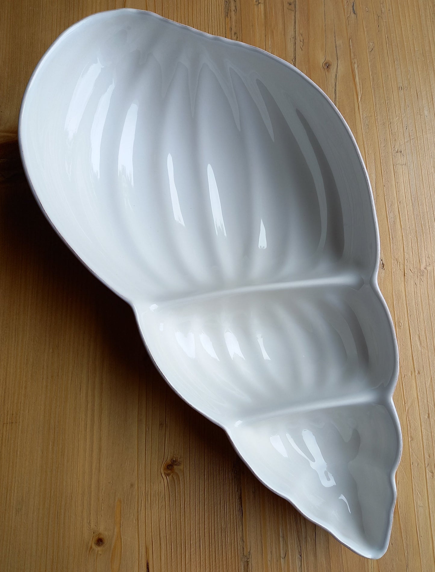 Large Shell Appetizer Dish